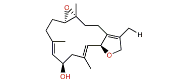 (R)-6-Hydroxyisosarcophytoxide