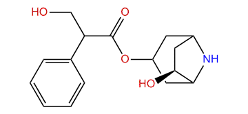 (6S)-Hydroxynorhyoscyamine