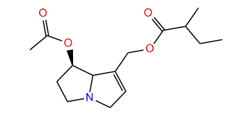 7-Acetyl-9-(2-methylbutyryl)-retronecine