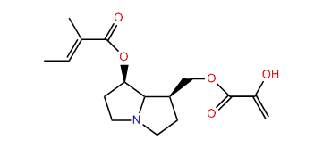 7-Tigoyl-9-(hydroxypropenoyl)-retronecine