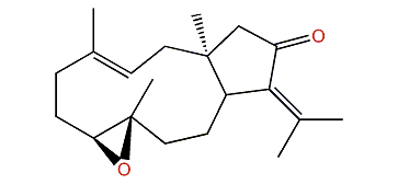(7S,8S)-7,8-Epoxy-(E)-3,12(18)-dolabelladien-13-one
