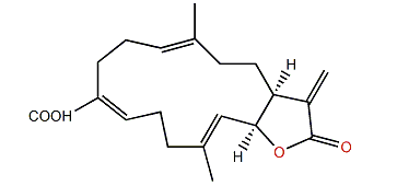 (7Z)-Lobohedleolide