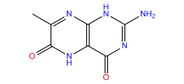 2-Amino-7-methylpteridine-4,6(1H,5H)-dione
