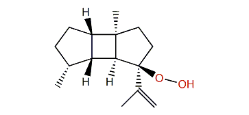 8beta-Hydroperoxyprespatane