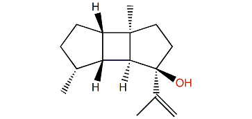 8beta-Hydroxyprespatane