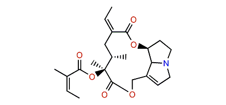 9-Angeloylanacrotine