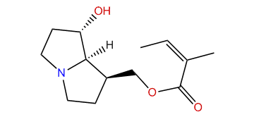 9-Angeloyldihydroxyheliotridane