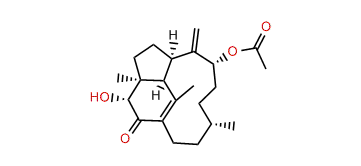 9alpha-Acetoxy-3alpha-hydroxy-1(15),8(19)-trinervitadien-2-one