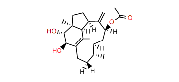 9beta-Acetoxy-2beta,3alpha-dihydroxy-trinervita-1(15),8(19)-diene