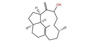 9beta-Hydroxy-1(15),8(19)-trinervitadiene