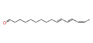 (E,E,Z)-10,12,14-Hexadecatrienal