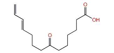 (E)-7-oxo-11,13-Tetradecadienoic acid