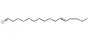 (E,Z)-11,13-Hexadecadienal