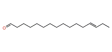 (E)-13-Hexadecenal