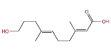(E,E)-10-Hydroxy-3,7-dimethyl-2,6-decadienoic acid