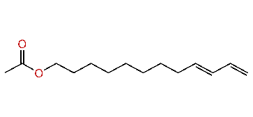 (E)-9,11-Dodecadienyl acetate