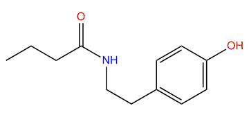 N-(4-Hydroxyphenethyl)-butyramide