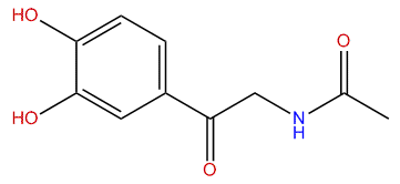 N-acetylarterenone