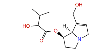 O7-(2-Hydroxyisovaleryl)-retronecine