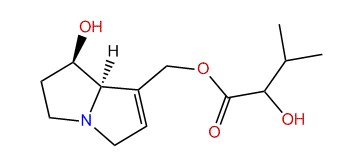 O9-(2-Hydroxyisovaleryl)-retronecine