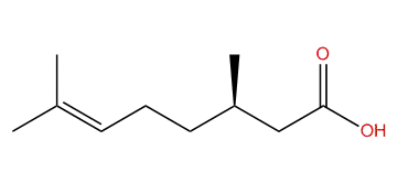 (R)-3,7-Dimethyl-6-octenoic acid