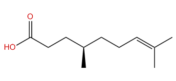 (R)-4,8-Dimethyl-7-nonenoic acid