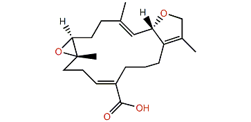 (S,Z)-12-Carboxy-11-sarcophytoxide