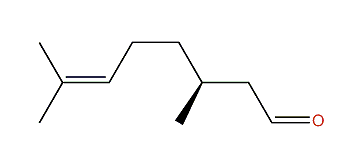 (3S)-3,7-Dimethyl-6-octenal