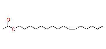 (Z)-10-Hexadecenyl acetate