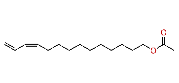 (Z)-11,13-Tetradecadienyl acetate