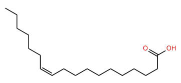 (Z)-11-Octadecenoic acid