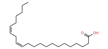 (Z,Z)-13,16-Docosadienoic acid