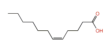 (Z)-5-Dodecenoic acid