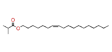 (Z)-7-Octadecenyl isobutyrate