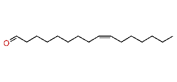 (Z)-9-Hexadecenal