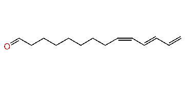 (Z,E)-9,11,13-Tetradecatrienal