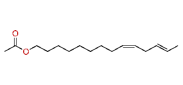 (Z,E)-9,12-Tetradecadienyl acetate