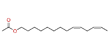 (Z,Z)-9,12-Tetradecadienyl acetate