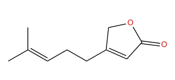 4-(4-Methyl-3-pentenyl)-2(5H)-furanone