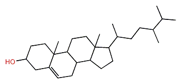 (24R)-24-Methylcholest-5-en-3b-ol