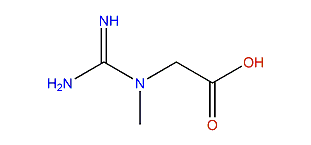2-(N-Amidino-N-methylamino)-acetic acid