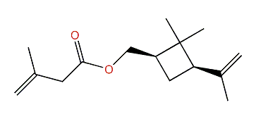 (1R,3R)-3-Isopropenyl-2,2-dimethylcyclobutylmethyl 3-methyl-3-butenoate