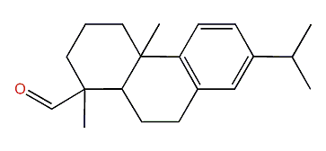 13-Isopropylpodocarpa-8,11,13-trien-15-al