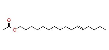 11-Hexadecenyl acetate
