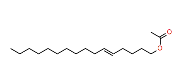 5-Hexadecenyl acetate