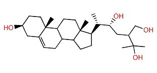 (R)-24-Methylcholest-5-en-3beta,22,25,28-tetrol