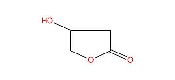 Dihydro-4-hydroxy-2-(3H)-furanone