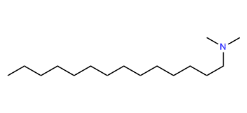 N,N-Dimethyl-1-tetradecanamine