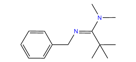 N,N-Dimethyl-N-benzyl-pivalamidine