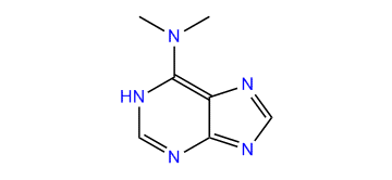 N,N-Dimethyl-1H-purin-6-amine